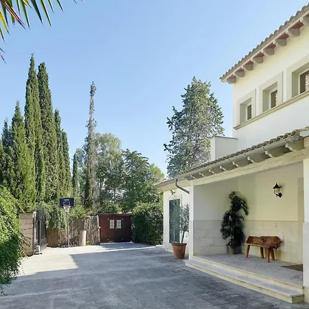On The Foot In Villa Pollenca